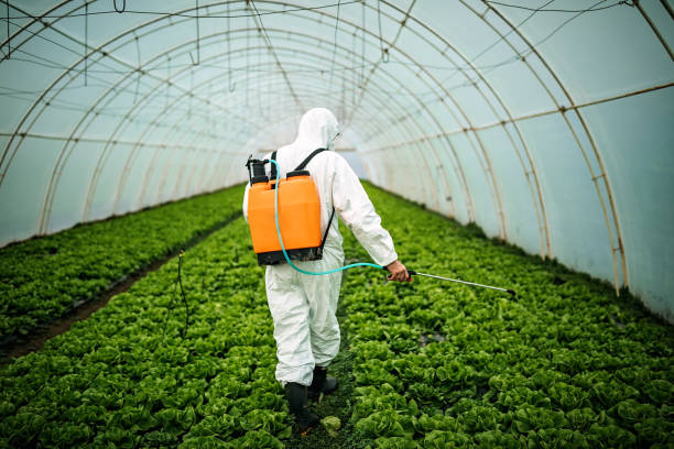 Best Local Pest Control Services  in Montgomery Village, MD