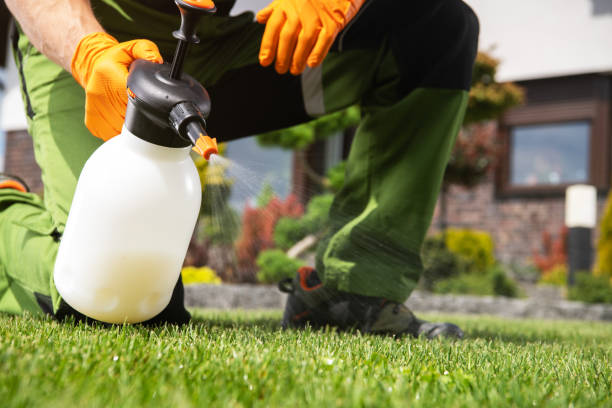 Best Wildlife Control Services  in Montgomery Village, MD