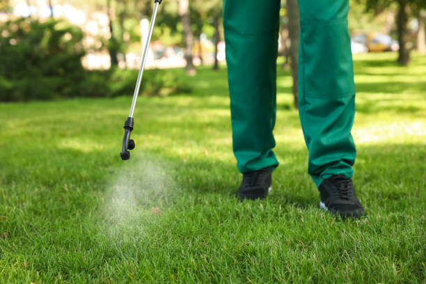 Best Affordable Pest Control Services  in Montgomery Village, MD