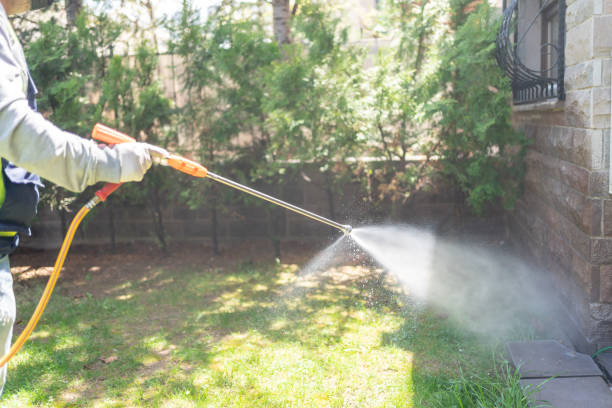 Best Local Pest Control Services  in Montgomery Village, MD