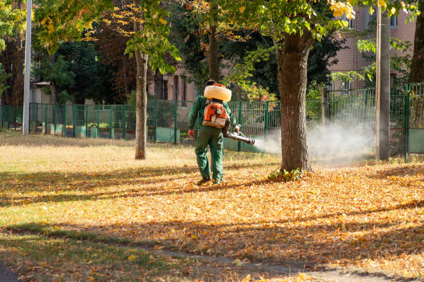Best Residential Pest Control  in Montgomery Village, MD