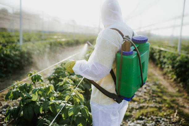 Montgomery Village, MD Pest Control Company